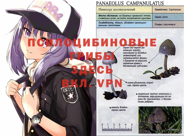 тгк Алзамай