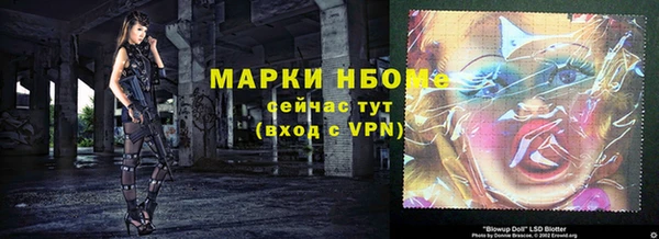 тгк Алзамай