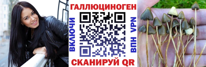маркетплейс телеграм  Калтан  Псилоцибиновые грибы MAGIC MUSHROOMS 