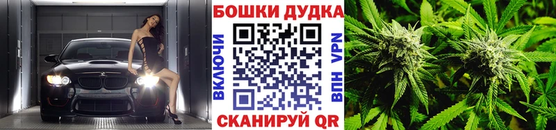 Бошки марихуана план Калтан